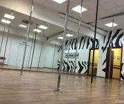 студия танца на пилоне zebra изображение 6 на проекте lovefit.ru